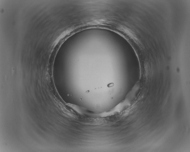 X0000069391308200605121201