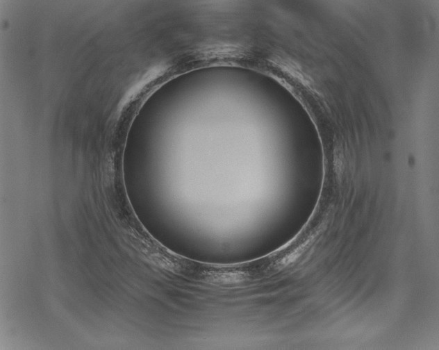 X0000069391309200605121201