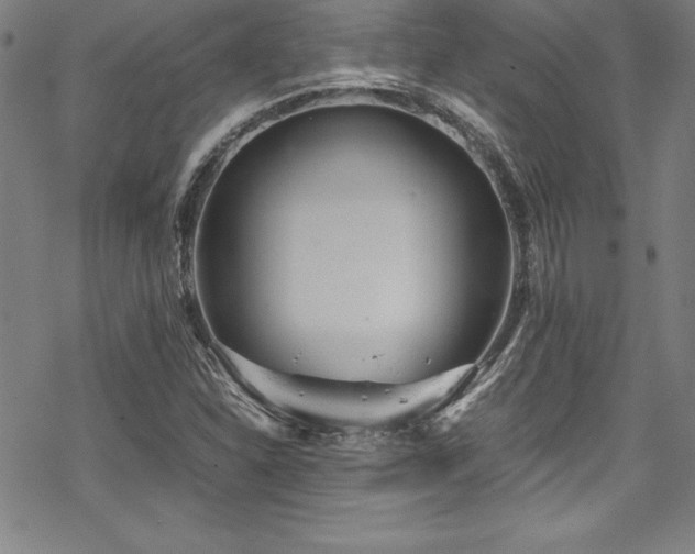 X0000069391310200605121201