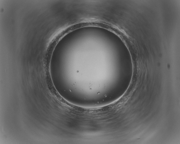 X0000069391311200605121201