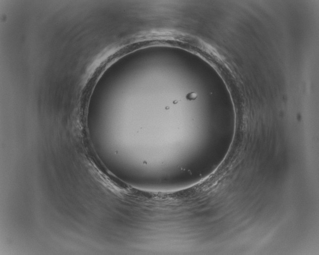 X0000069391312200605121201