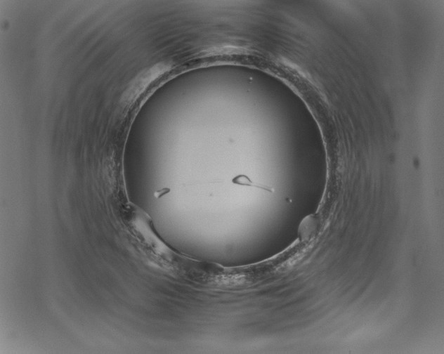 X0000069391313200605121201