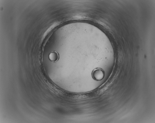 X0000069391314200605121201