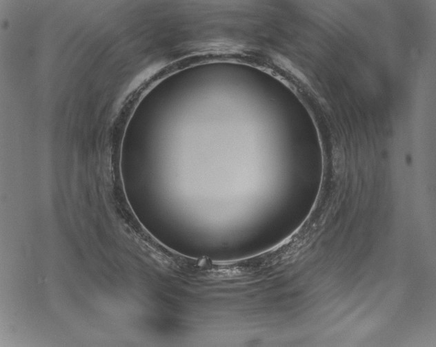 X0000069391315200605121201