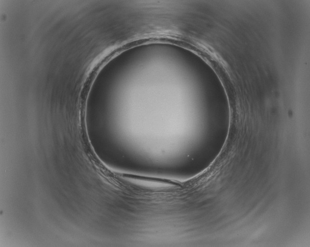 X0000069391316200605121201