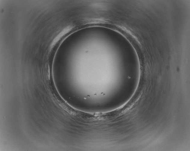 X0000069391317200605121201