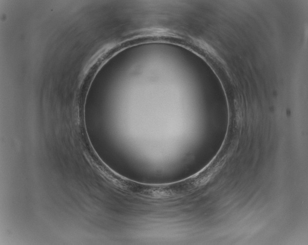 X0000069391318200605121201