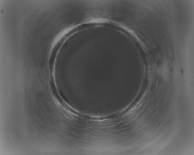 X0000069391319200605121201