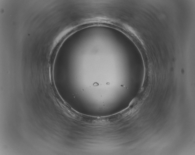 X0000069391320200605121201