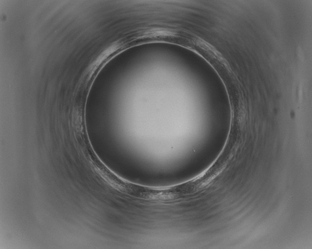 X0000069391321200605121201