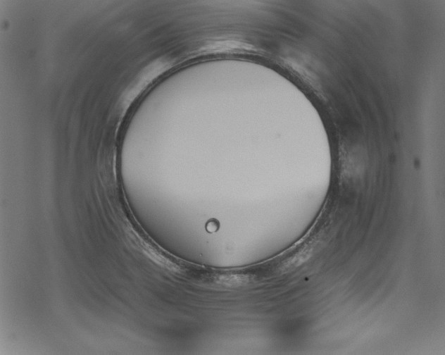 X0000069391322200605121201