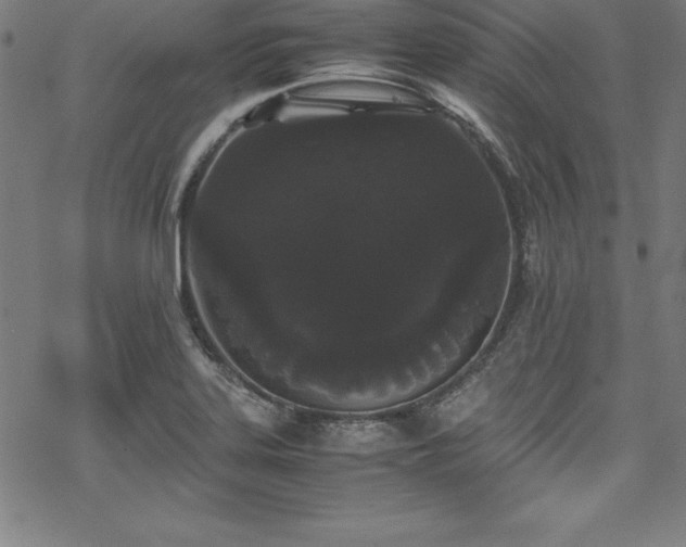 X0000069391323200605121201