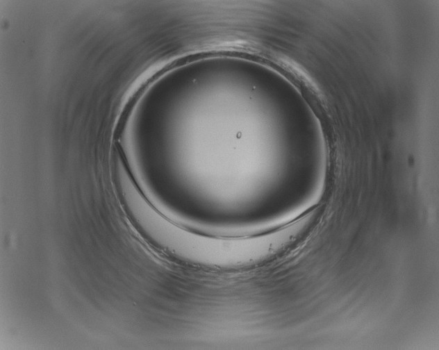 X0000069391324200605121201