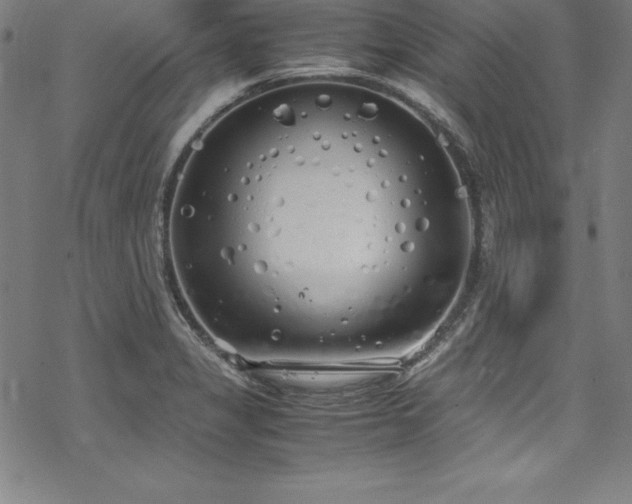 X0000069391325200605121201