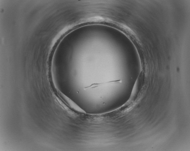 X0000069391326200605121201