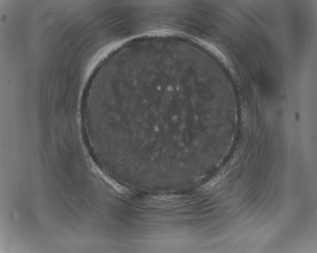 X0000069391327200605121201