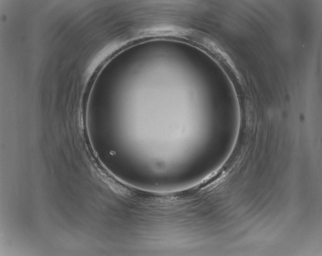 X0000069391328200605121201