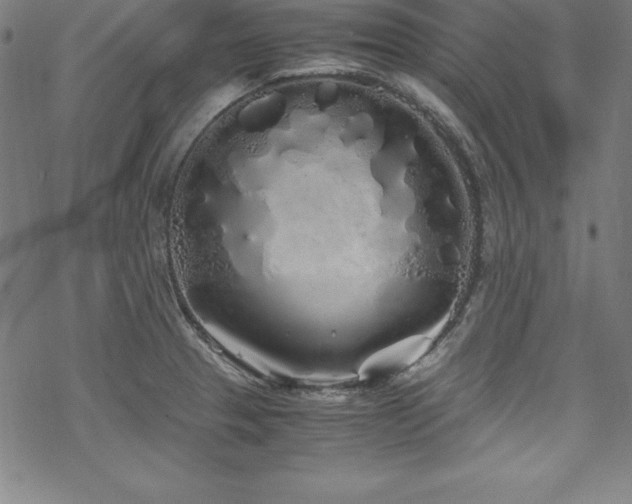 X0000069391329200605121201