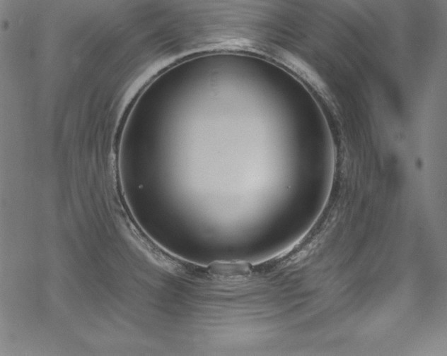 X0000069391332200605121201