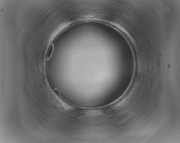 X0000069391333200605121201