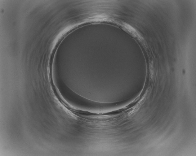 X0000069391334200605121201