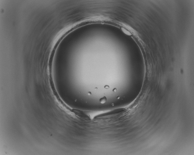 X0000069391335200605121201