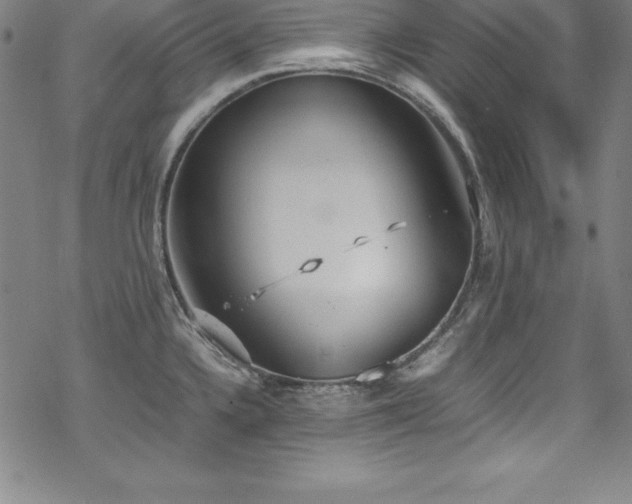 X0000069391336200605121201