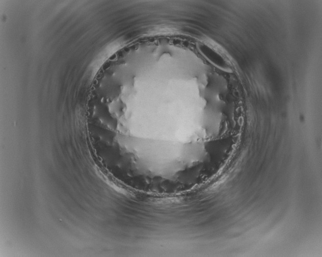 X0000069391337200605121201