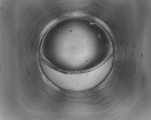 X0000069391338200605121201