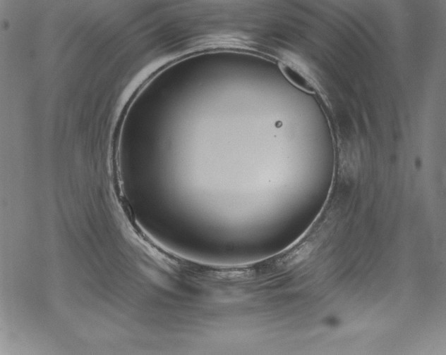 X0000069391339200605121201