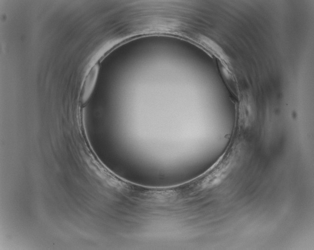 X0000069391340200605121201