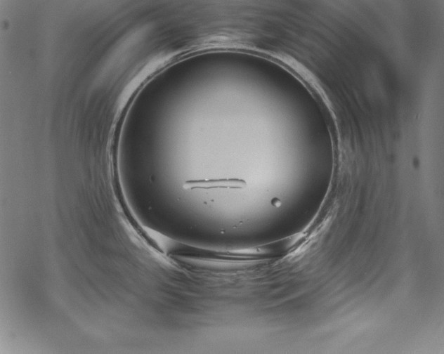 X0000069391341200605121201