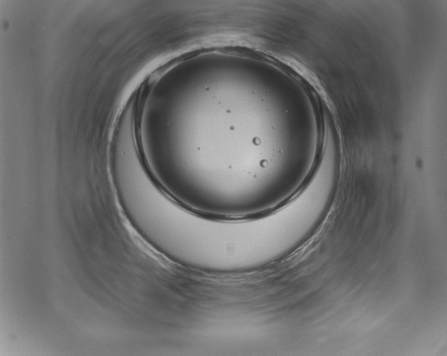 X0000069391342200605121201