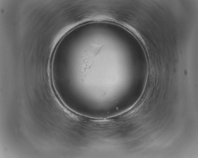 X0000069391343200605121201