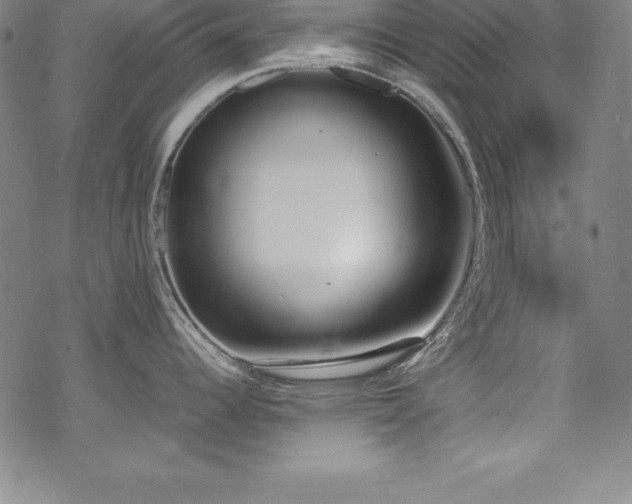 X0000069391344200605121201