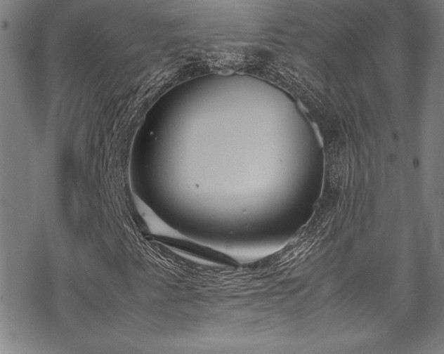 X0000069391345200605121201