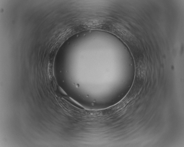 X0000069391346200605121201