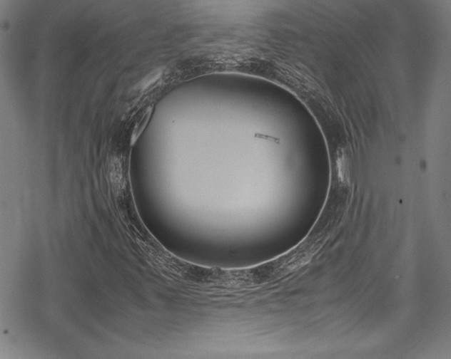 X0000069391347200605121201