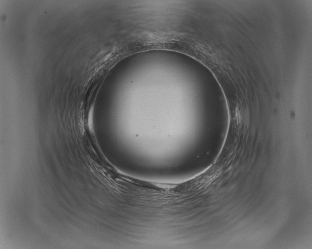 X0000069391348200605121201