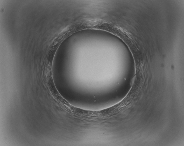 X0000069391349200605121200