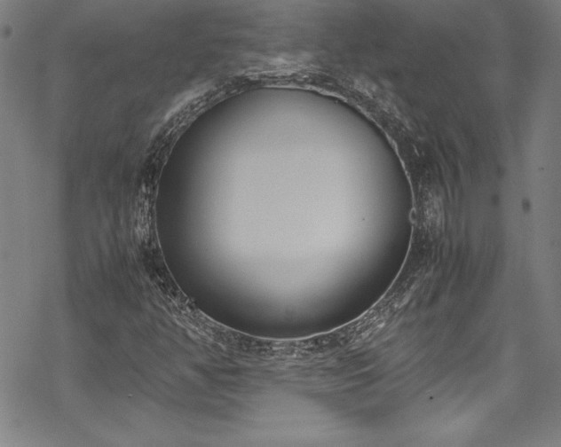 X0000069391350200605121200