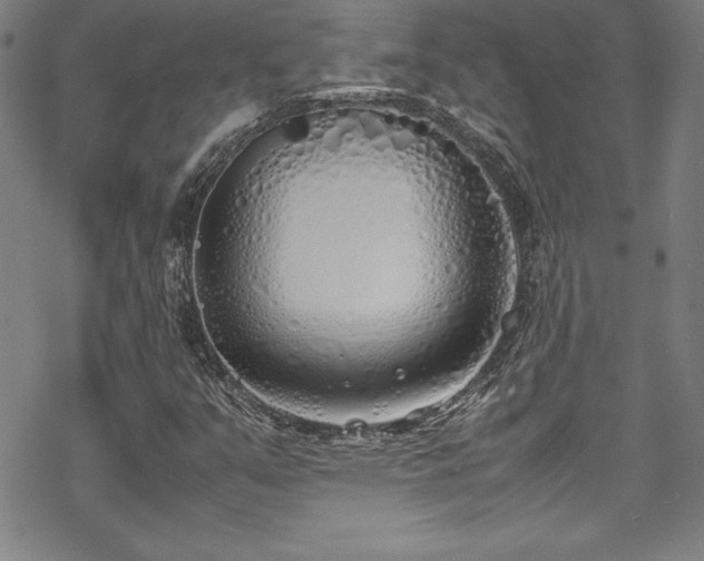 X0000069391351200605121200