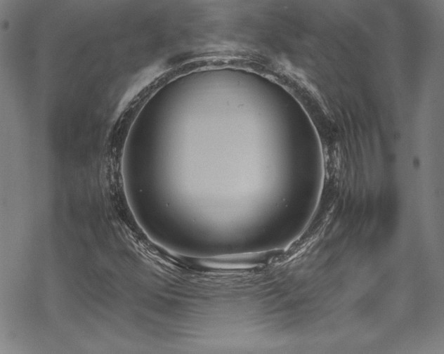 X0000069391352200605121200