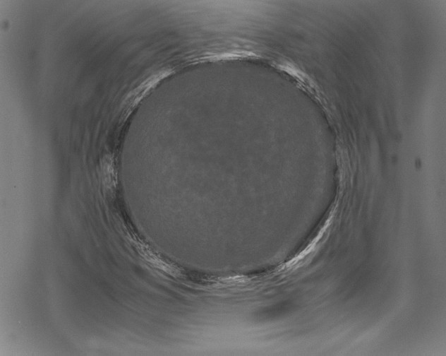 X0000069391353200605121200