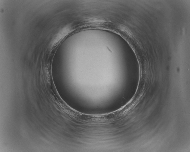 X0000069391354200605121200