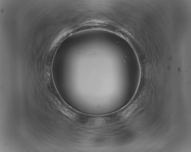 X0000069391355200605121200