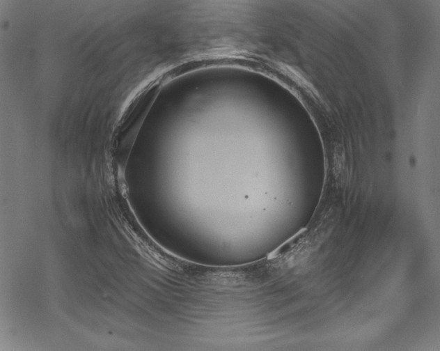 X0000069391356200605121200