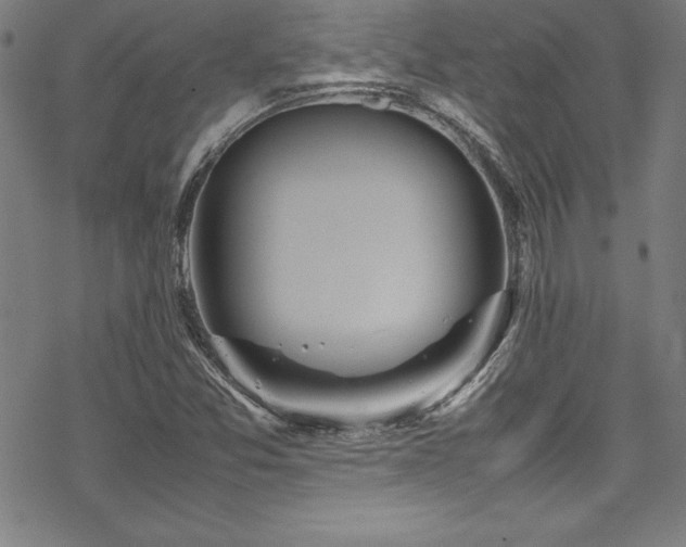 X0000069391357200605121200