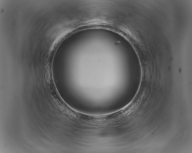 X0000069391358200605121200