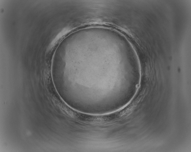 X0000069391359200605121200